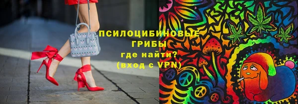 а пвп мука Алзамай