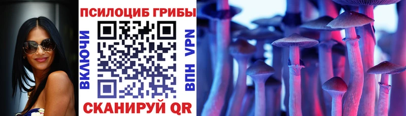 Псилоцибиновые грибы мицелий  закладка  Куровское 